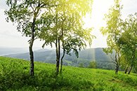 Панорама для окна